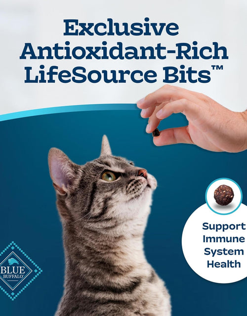 Load image into Gallery viewer, Sensitive Stomach Natural Adult Dry Cat Food, Chicken &amp; Brown Rice
