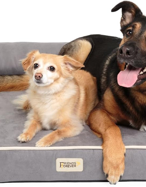 Load image into Gallery viewer, Orthopedic Dog Bed Lounge Sofa Removable Cover 100% Suede Mattress Memory-Foam with Bolster Rim Premium Prestige Edition

