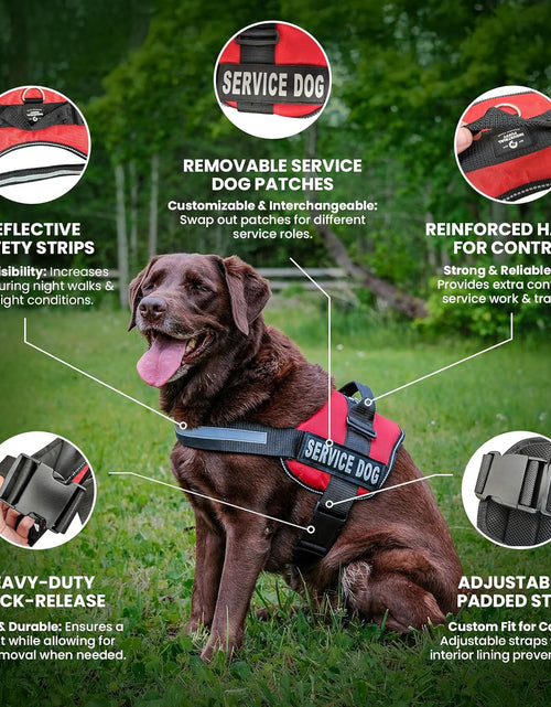 Load image into Gallery viewer, Service Dog in Training Vest with Hook and Loop Straps and Handle - Harnesses in Sizes from XXS to XXL - Service Dog Vest Harness Features Reflective Patch and Comfortable Mesh Design
