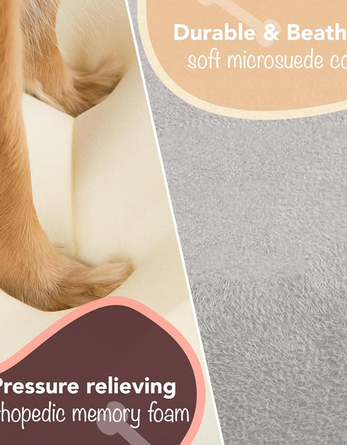 Load image into Gallery viewer, Orthopedic Dog Bed Lounge Sofa Removable Cover 100% Suede Mattress Memory-Foam with Bolster Rim Premium Prestige Edition
