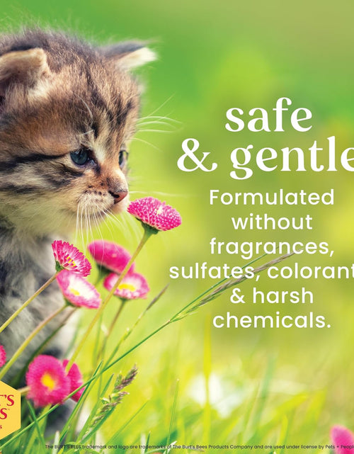 Load image into Gallery viewer, Burt'S Bees for Kittens Natural Tearless Shampoo with Buttermilk Cat Shampoo, Kitten Shampoo - Cat Grooming Supplies, Cat Bath Supplies, Shampoo for Cats, Kitty Shampoo, Pet Shampoo
