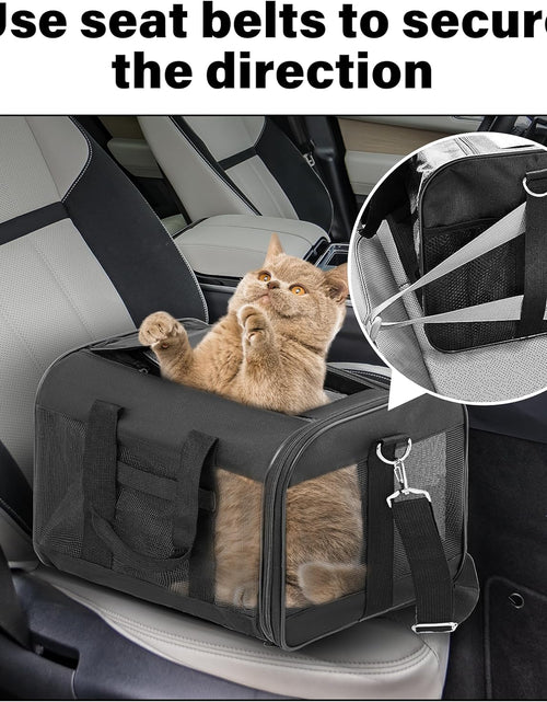 Load image into Gallery viewer, Pet Travel Carrier Soft Sided Portable Bag for Cats, Small Dogs, Kittens or Puppies 17 Lbs Max, Collapsible, Durable, Airline Approved, Travel Friendly (Medium)
