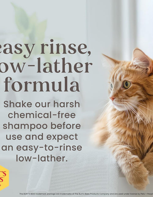Load image into Gallery viewer, Burt'S Bees for Kittens Natural Tearless Shampoo with Buttermilk Cat Shampoo, Kitten Shampoo - Cat Grooming Supplies, Cat Bath Supplies, Shampoo for Cats, Kitty Shampoo, Pet Shampoo
