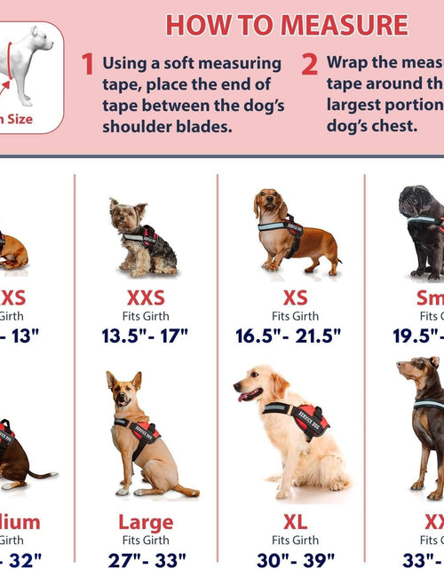 Load image into Gallery viewer, Service Dog in Training Vest with Hook and Loop Straps and Handle - Harnesses in Sizes from XXS to XXL - Service Dog Vest Harness Features Reflective Patch and Comfortable Mesh Design
