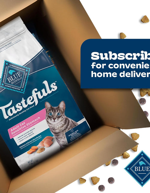 Load image into Gallery viewer, Sensitive Stomach Natural Adult Dry Cat Food, Chicken &amp; Brown Rice
