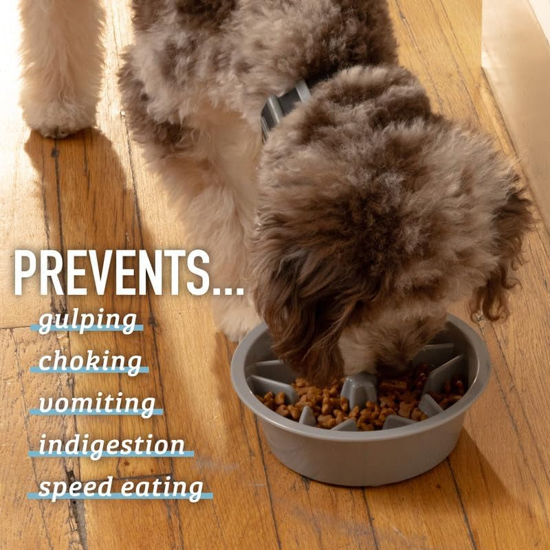 Leashboss Slow Feeder Dog Bowls - Cup Maze Puzzle Food Bowl with Feeder Holes, Fits into Elevated Pet Feeders - Slow Eating for Large, Medium & Small Sized Breeds (2 Cup - 7.5-8 Inch Feeder Holes)
