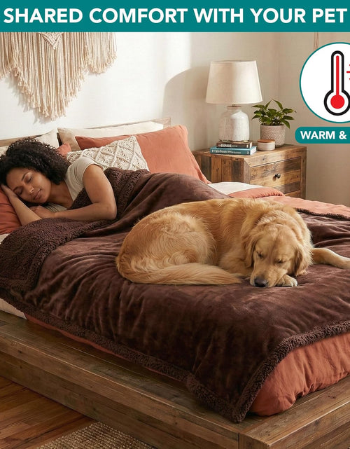 Load image into Gallery viewer, Waterproof Dog Blanket for Bed, Couch, Sofa | Waterproof Dog Bed Cover for Large Dogs, Puppies | Sherpa Fleece Pet Blanket Furniture Protector | Reversible Microfiber
