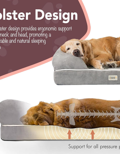 Load image into Gallery viewer, Orthopedic Dog Bed Lounge Sofa Removable Cover 100% Suede Mattress Memory-Foam with Bolster Rim Premium Prestige Edition
